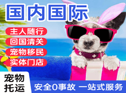 福成航空货运国际宠物托运 【国